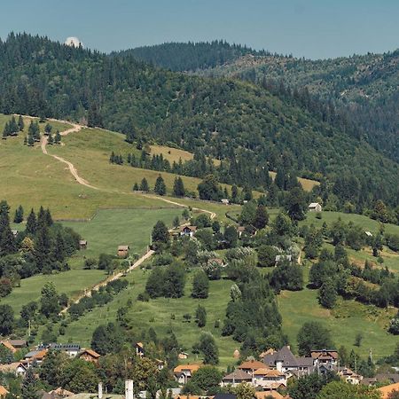 Vila Genia Câmpulung Moldovenesc Екстериор снимка